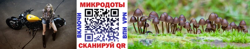 OMG ссылки  нарко площадка клад  Псилоцибиновые грибы ЛСД  Касимов 